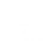 icon5