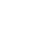 icon7