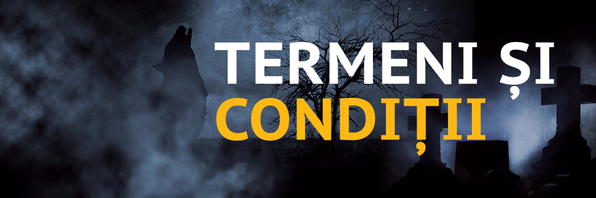 TERMENI CONDITII_1200x400
